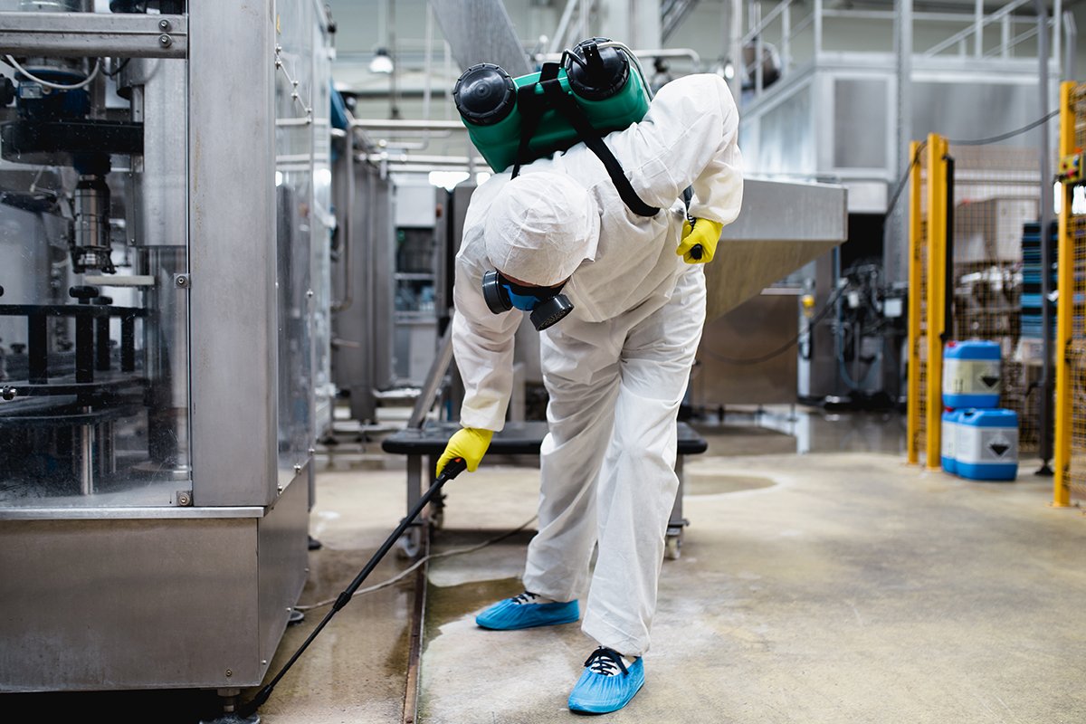NYC Mice Extermination Services - Empire Exterminators
